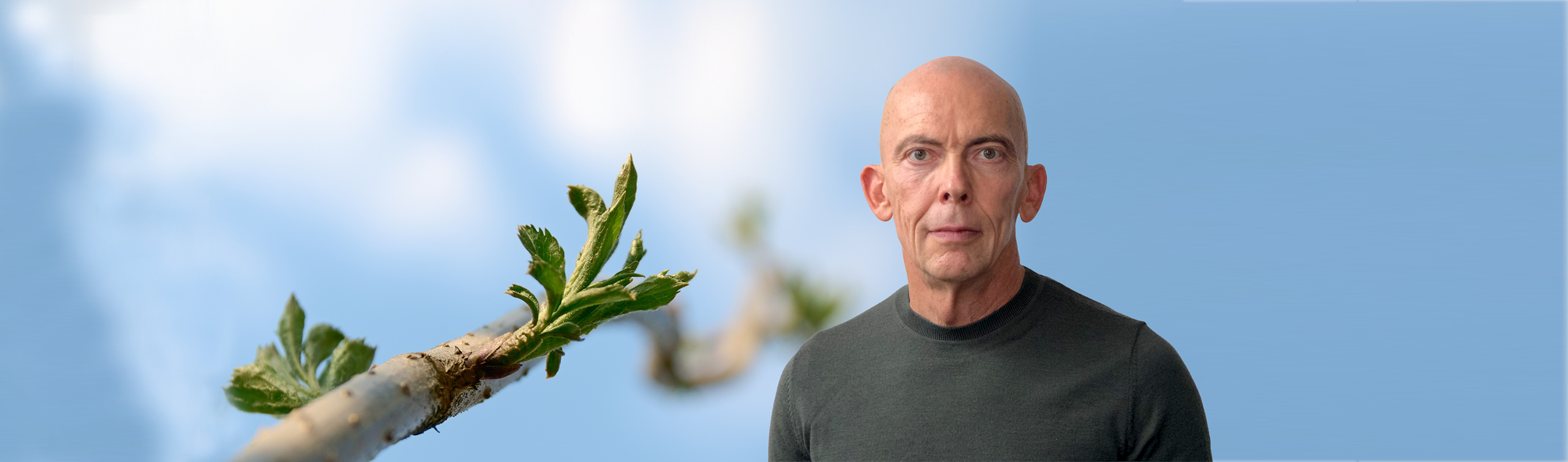 Michael Engel Heilpraktiker Psychotherapie Darmstadt